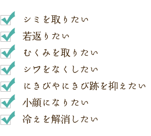 シミを取りたい、若返りたい、むくみを取りたい、シワをなくしたい、にきびやにきび跡を抑えたい、小顔になりたい、冷えを解消したい